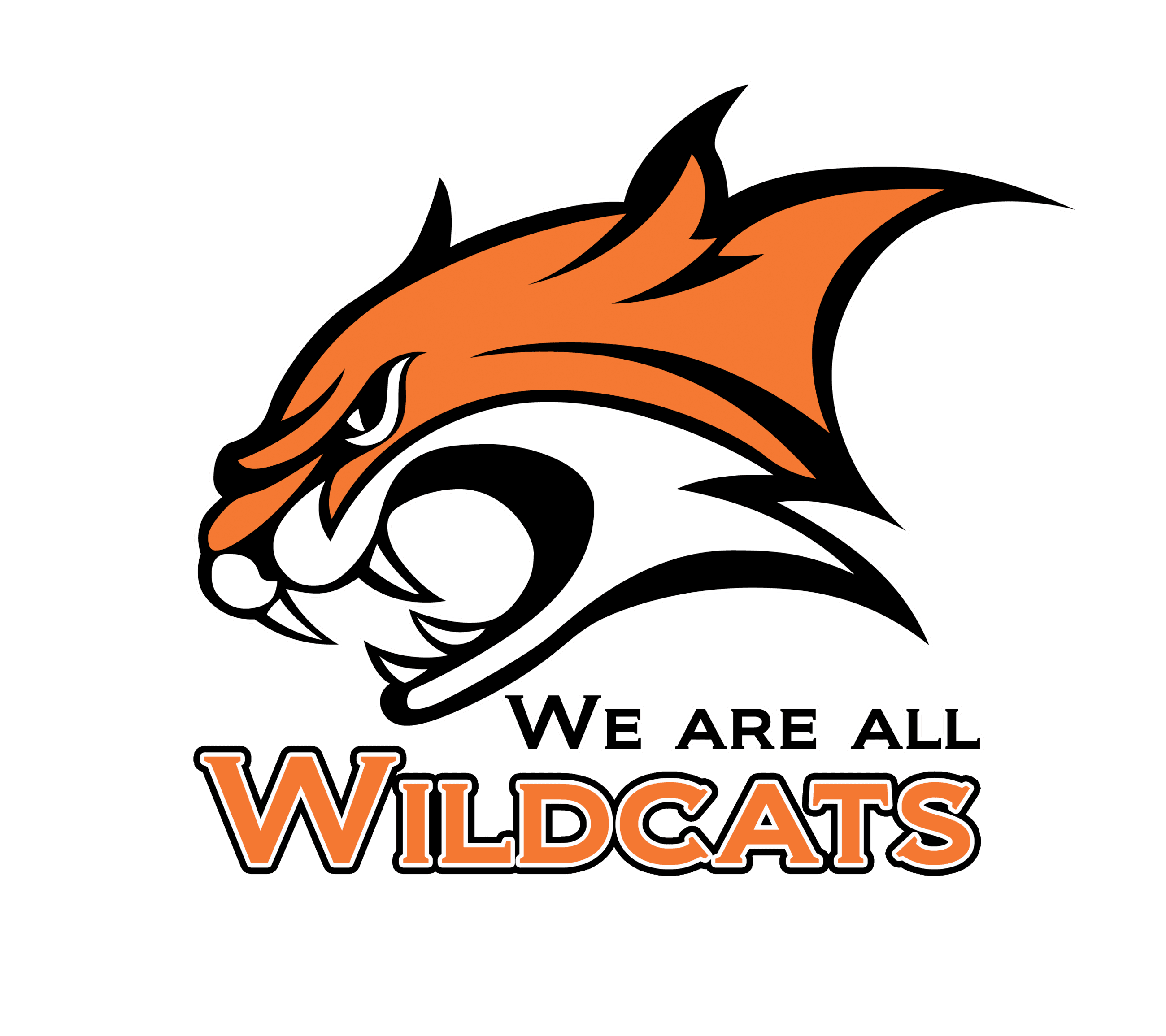 We Are All Wildcats