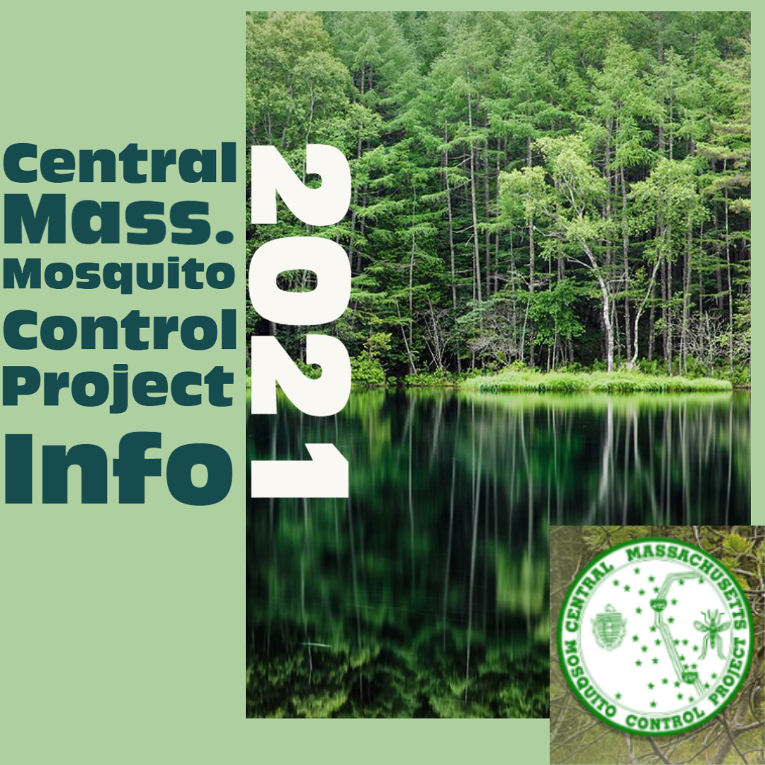 Mosquito Control Project Image