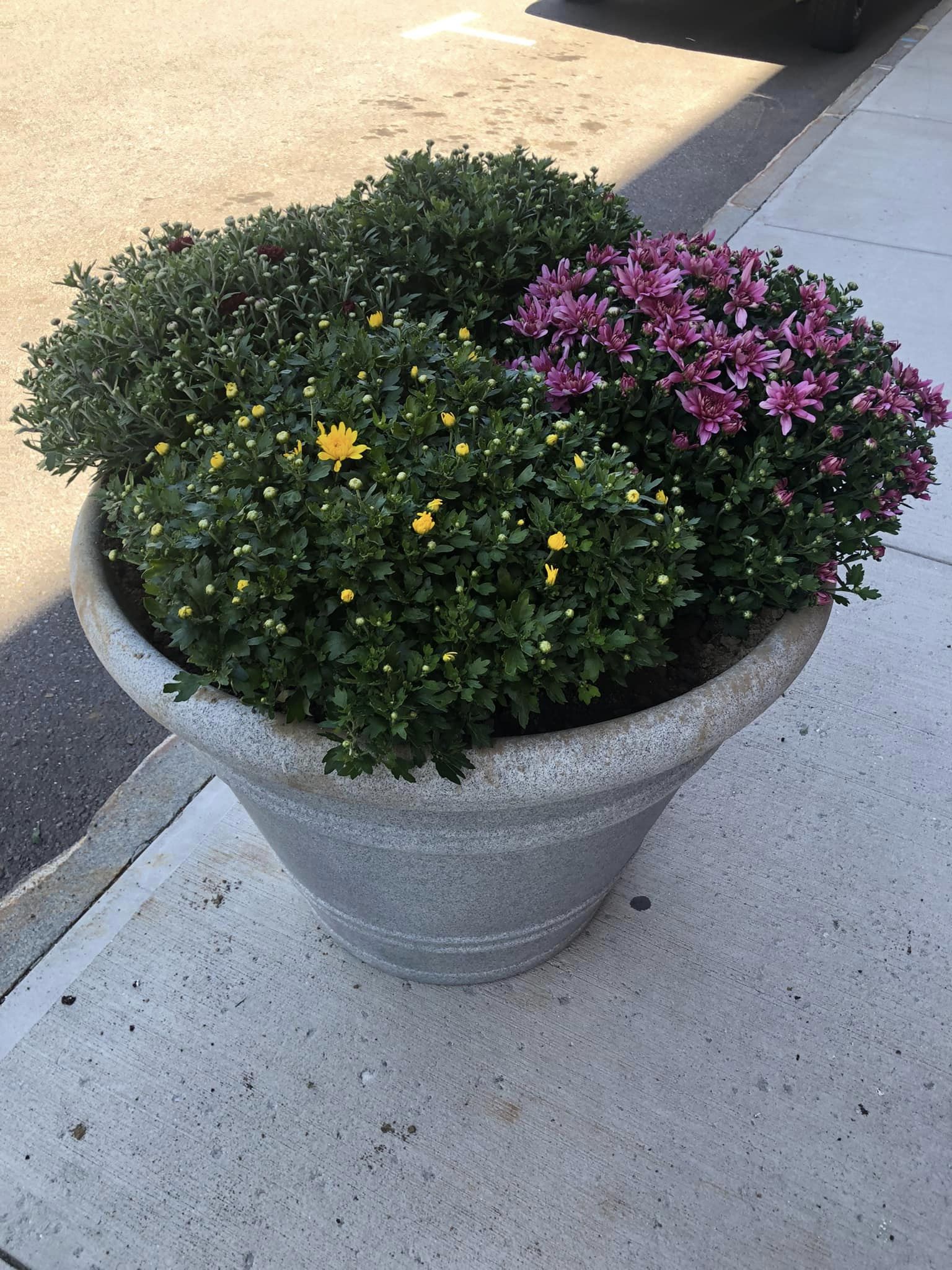 307639164_4854986901269365_4838175052712376083_n